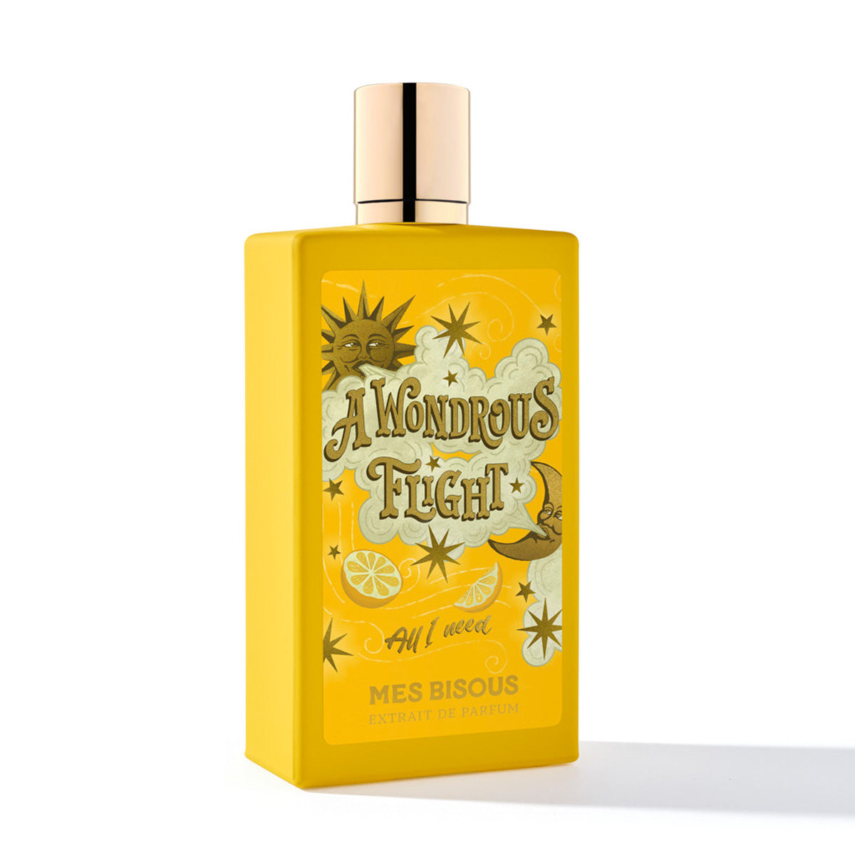 A wondrous flight - Mes bisous